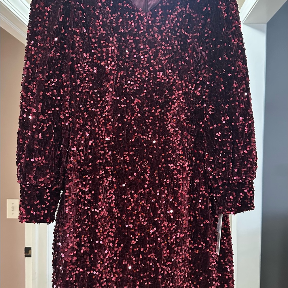 Sparkling Sequin Dress